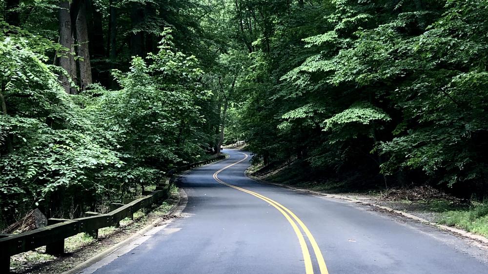 One of Bill's favorite roads to ride in Washington.