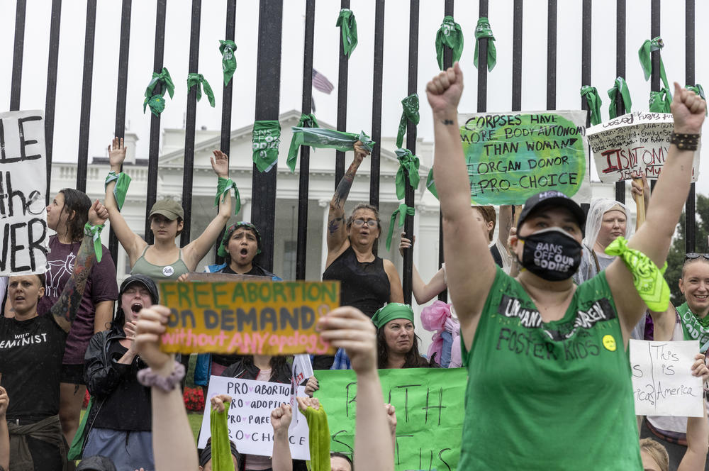 Protesters gather at a sit-in in front of the White House.
