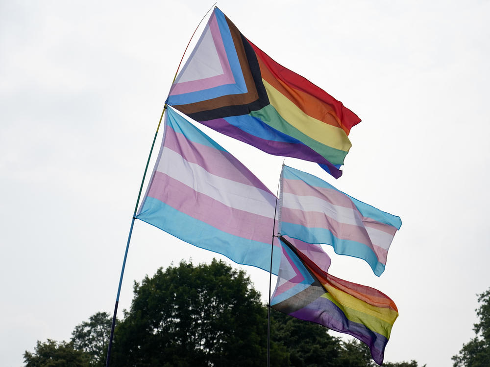 LGBTQ flags fly in London's Hyde Park on July 24, 2021.