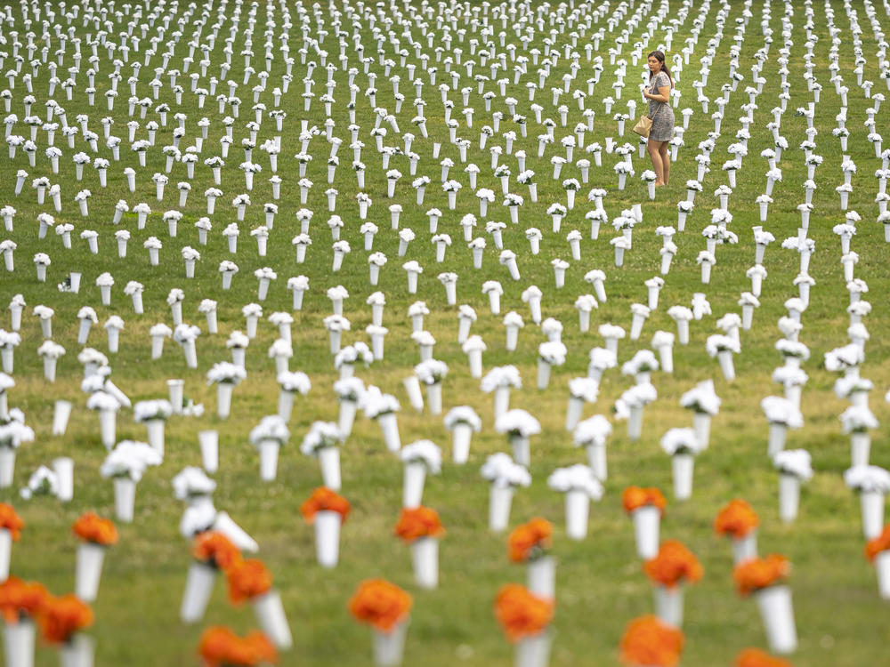 A field of flowers representing deaths from gun violence at the Giffords Gun Violence Memorial in front of the Washington Monument on June 7, 2022 in Washington, DC.