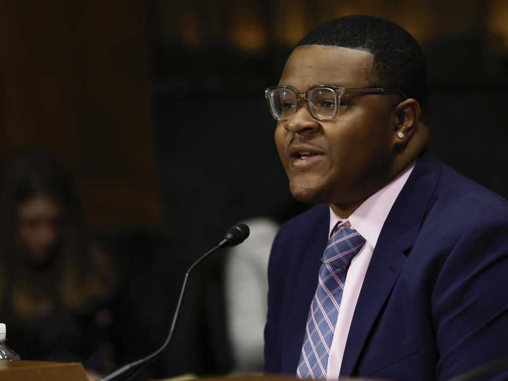 Ernest Willingham speaks during a hearing on 