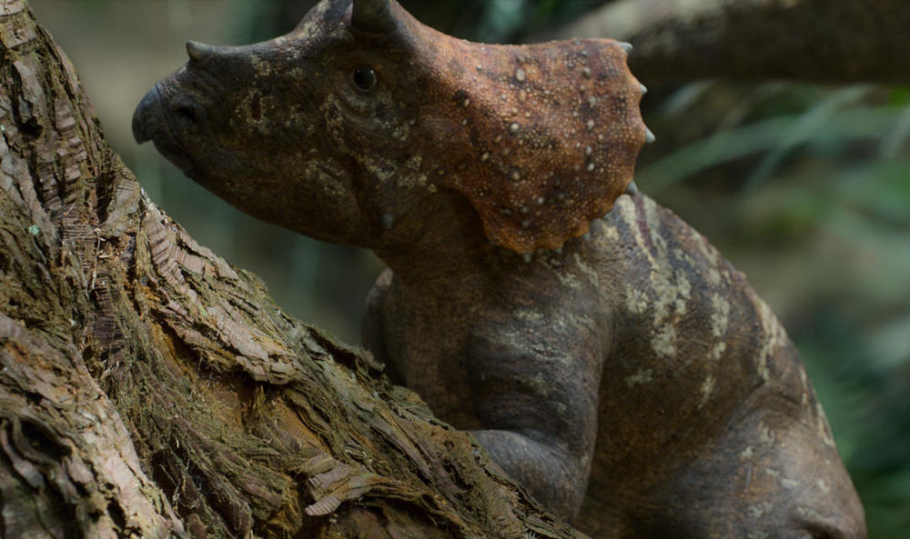 A baby triceratops shown in CGI.