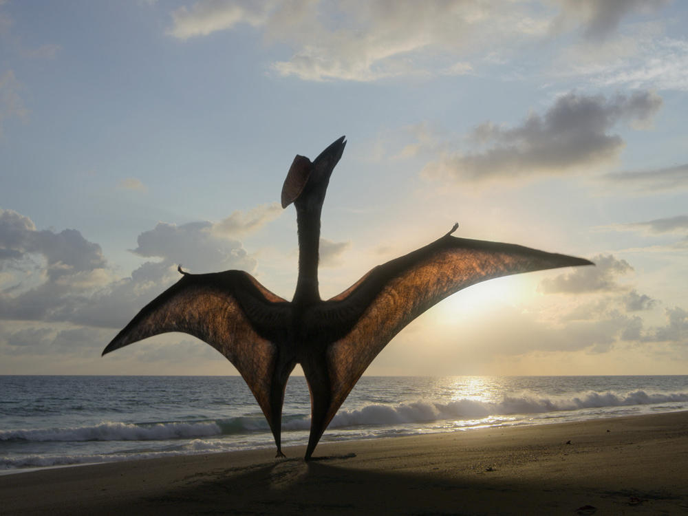 <em>Prehistoric Planet</em>'s vision of a hatzegopteryx.