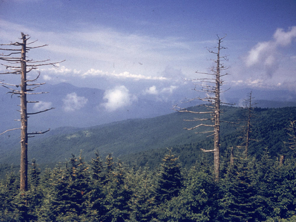 The view from Clingmans Dome in the Great Smoky Mountains National Park. The mountain is the tallest peak in the park and sits on the Tennessee-North Carolina border. It's sacred to the Eastern Band of Cherokee Indians, who hope to see the name of the mountain changed to Kuwahi, which their ancestors called the mountain for hundreds of years.