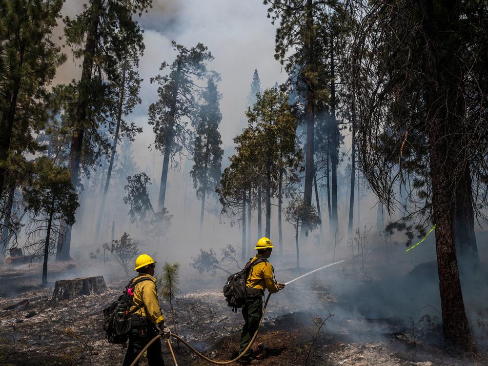 Firefighters put out hot spots from the Washburn Fire in Yosemite National Park, Calif., on July 11.
