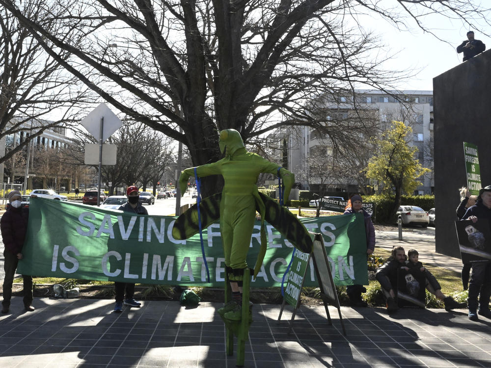 Environmental activists protest outside the National Press Club, where minister for the Environment and Water, Tanya Plibersek, is scheduled to speak, in Canberra, Tuesday, July 19, 2022.