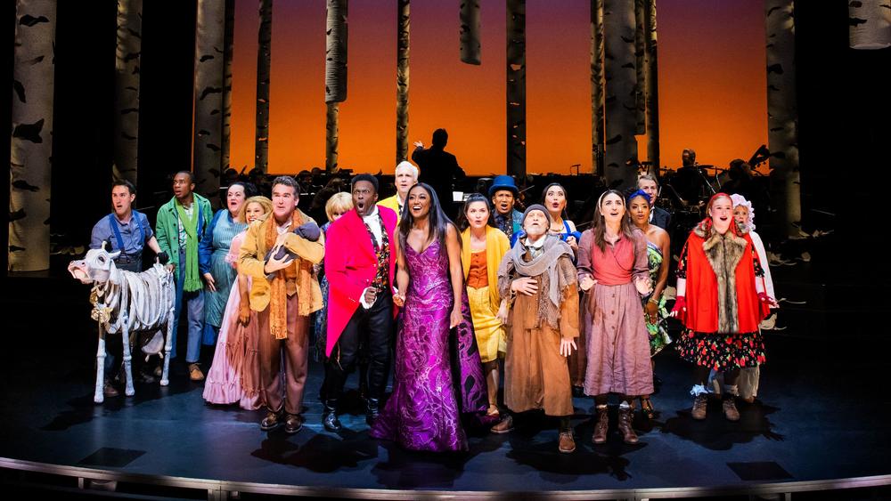 The cast of Into the Woods.