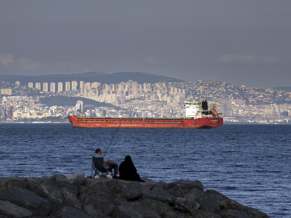 A cargo ship anchored in the Marmara Sea awaits access to the Bosphorus Straits in Istanbul, Turkey, on July 13, 2022.