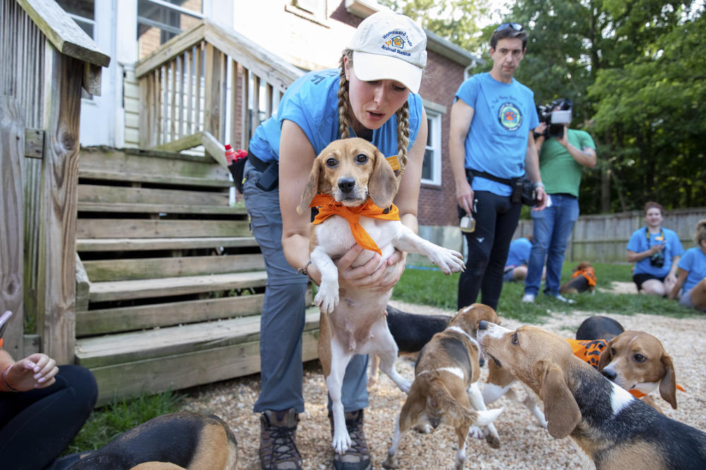 Meghan Hobson lowers a dog onto the ground at Homeward Trails.
