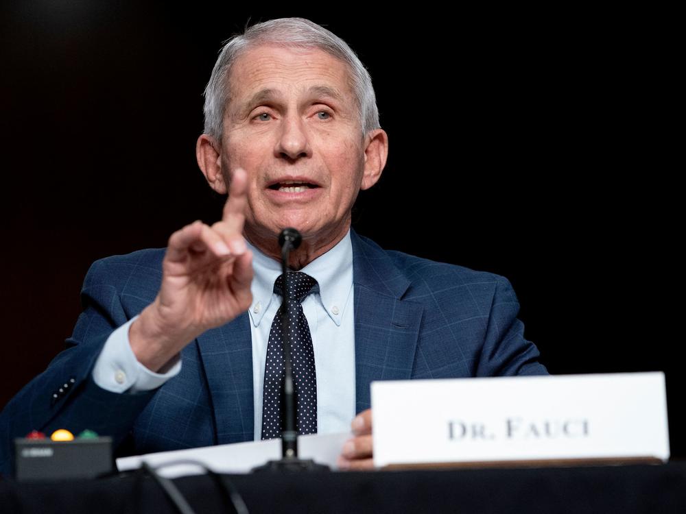 Dr. Anthony Fauci, White House Chief Medical Advisor and Director of the NIAID, gives and opening statement during a Senate Health, Education, Labor, and Pensions Committee hearing to examine the federal response to Covid-19 and new emerging variants on January 11, 2022 at Capitol Hill in Washington, DC.