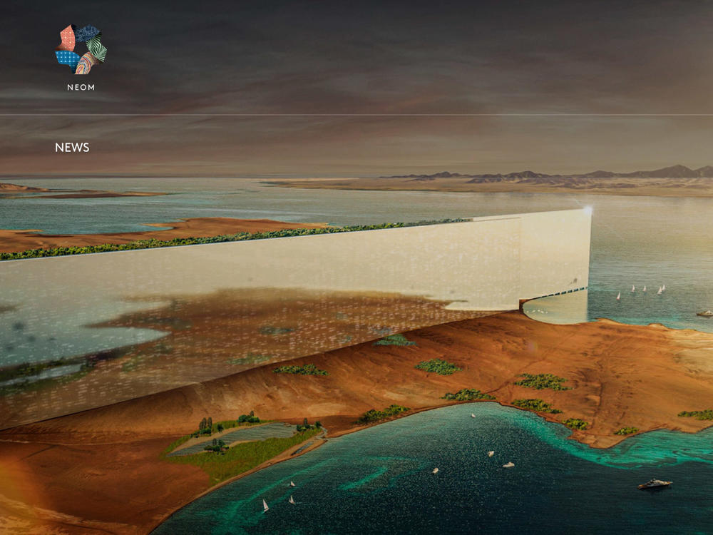 The Line is an ambitious part of Saudi Crown Prince Mohammed bin Salman's plan to diversify the kingdom's economy and remake part of its geography.