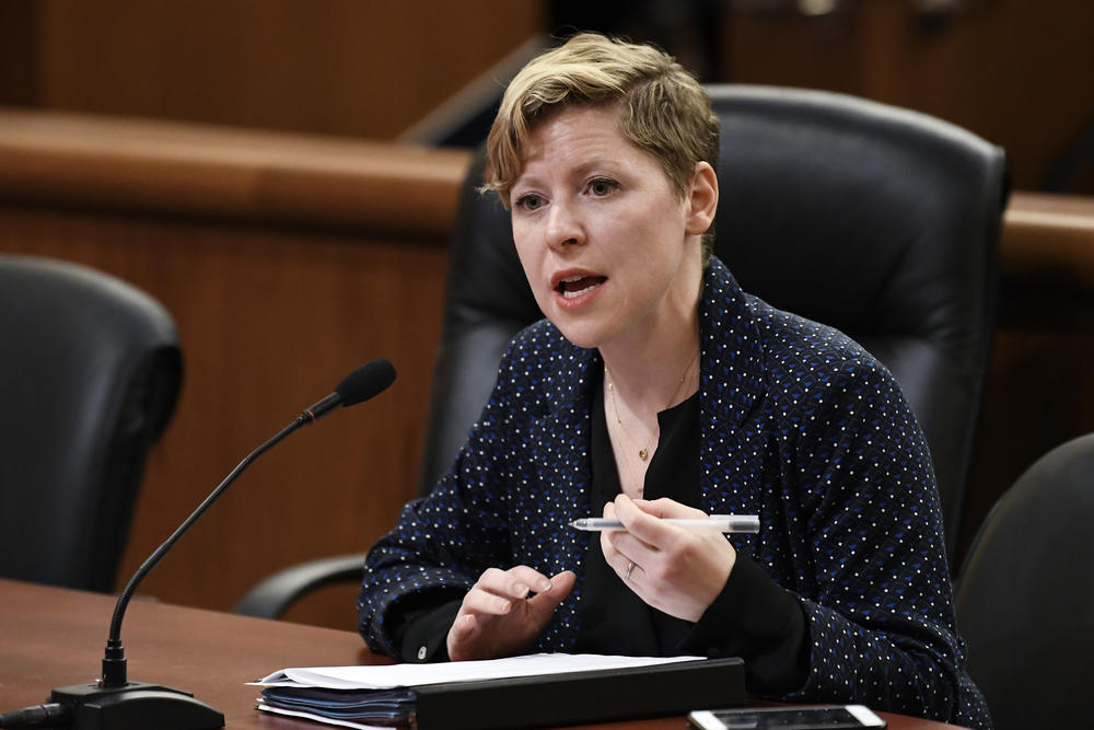 Dana Sussman, acting executive director of National Advocates for Pregnant Women, during a public hearing on Feb. 13, 2019, in Albany, N.Y.