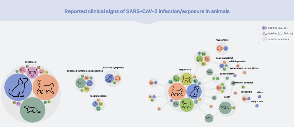 This graphic, part of an interactive <a href=