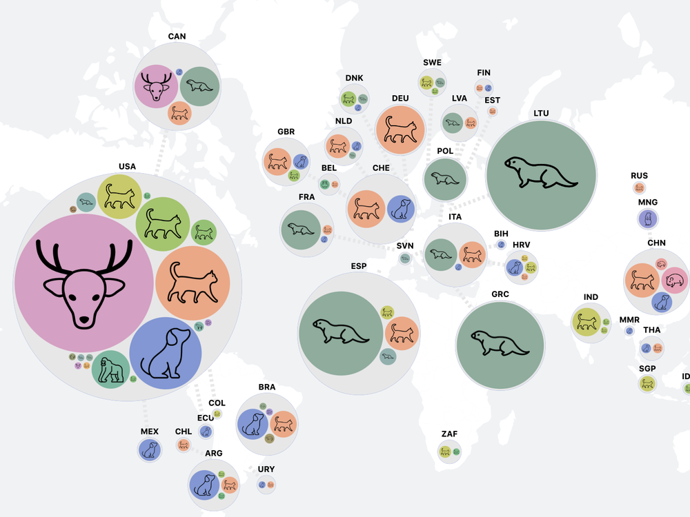 A screenshot of a map showing case counts of COVID-19 reported in different animal species, part of an interactive <a href=