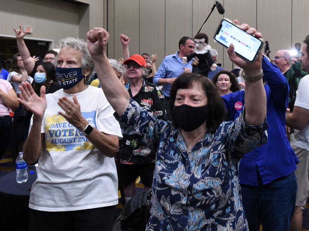 Abortion-rights supporters cheer as the proposed Kansas constitutional amendment that would allow abortion restrictions in the state fails. They were watching election results at the Kansas for Constitutional Freedom watch party in Overland Park.