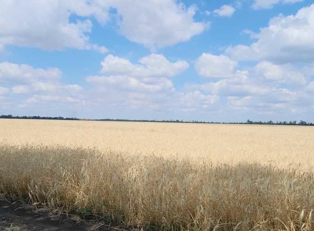 A Ukrainian officer described the terrain north of Kherson as 