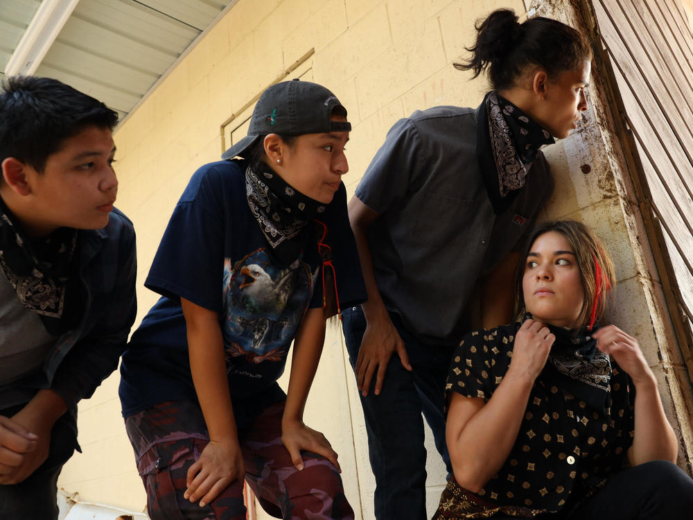 Lane Factor, Paulina Alexis, D'Pharaoh Woon-A-Tai and Devery Jacobs play four friends living on an Indian reservation in the series <em>Reservation Dogs.</em>