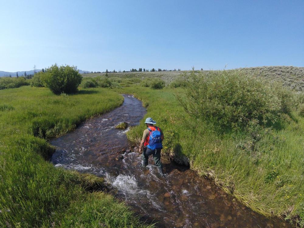 Blacktail Deer Creek in Yellowstone National Park, seen here in a 2019 photo from the ecological study known as NEON, is one site where researchers have bubbled sulfur hexafluoride into the water.