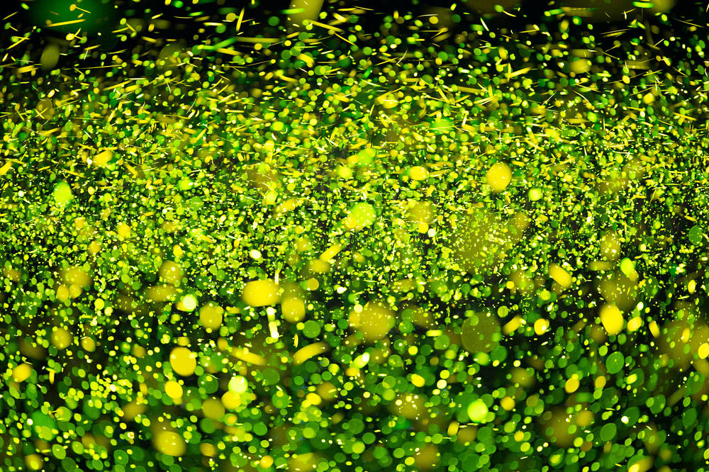 A swarm of fireflies seen in New York in June 2021. 