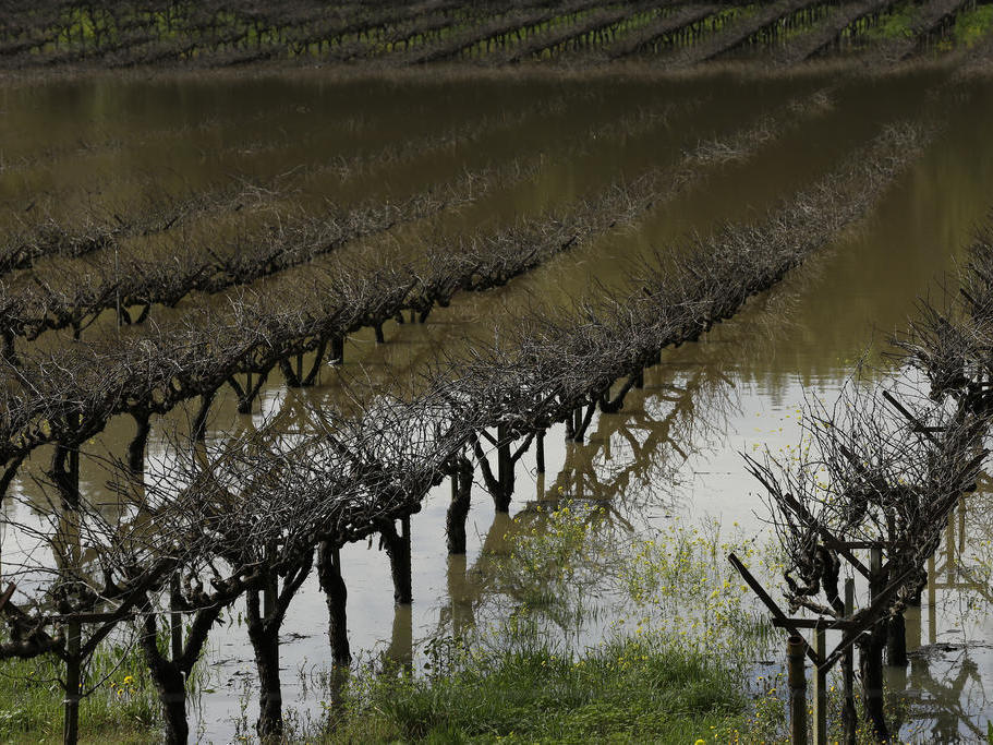 Grape vines at Korbel vineyards are submerged under floodwater Friday, Feb. 10, 2017, near Guerneville, Calif. The Central Valley produces $17 billion worth of crops every year. (AP Photo/Ben Margot)