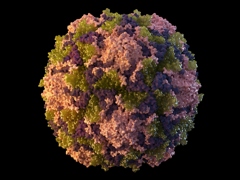 This 2014 illustration made available by the U.S. Centers for Disease Control and Prevention depicts a polio virus particle.