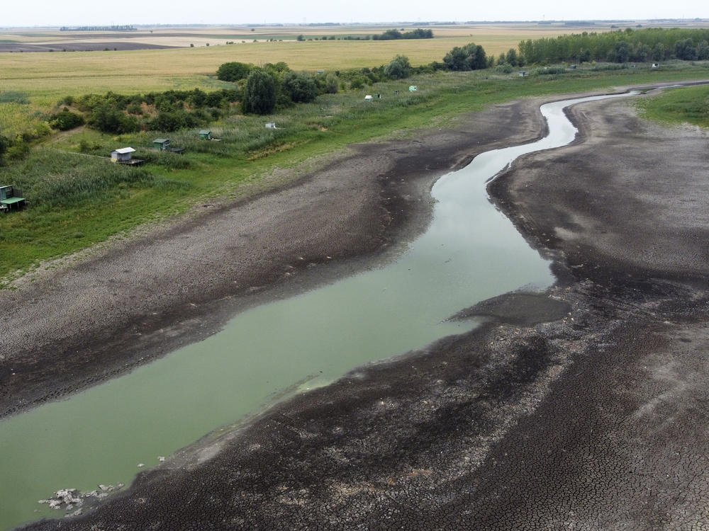 A view of a dry lake bed near the village of Conoplja, 150 kilometers north-west of Belgrade, Serbia, Tuesday, Aug. 9, 2022.