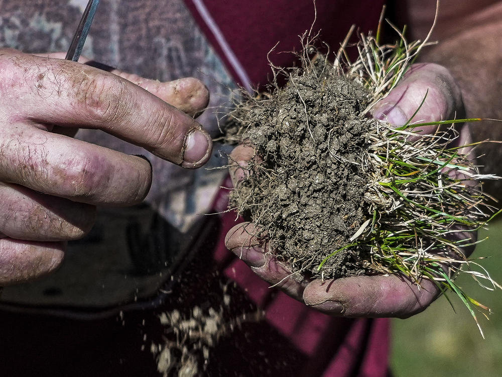 Farmer, Baptiste Colson, holds a clump of dried earth and grass as he stands in a sun-dried field in Moloy, France Wednesday Aug. 10, 2022.