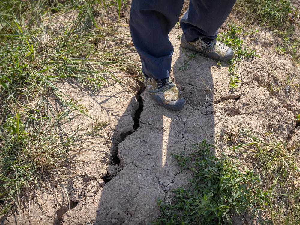 A farmer stands above a deep crack in the dried mud of an earthen embankment in his rice fields near Chongqing, China, on Sunday. The government says it will try to protect China's grain harvest from record-setting drought by using chemicals to generate rain.