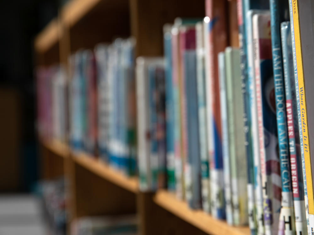 Florida's Sarasota County School District is not purchasing or accepting donations of new books until at least January as it hires new staff and awaits new guidance to best comply with a statewide education law.