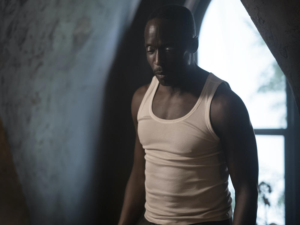 Williams as Montrose Freeman in HBO's Lovecraft Country.