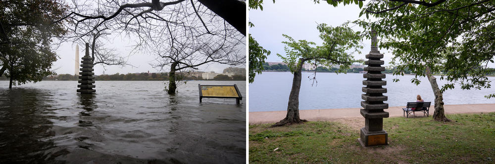 <em></em>Heavy rain in Washington, D.C., in October 2021 flooded parkland along the Potomac River (left). Less than a year later, it's back to normal (right).