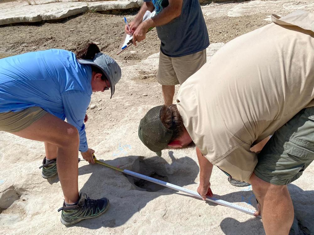 Researchers are working to map and collect data on the tracks while they are still visible. Eventually rain will come and the tracks will be covered again, the Texas Parks and Wildlife Department said.