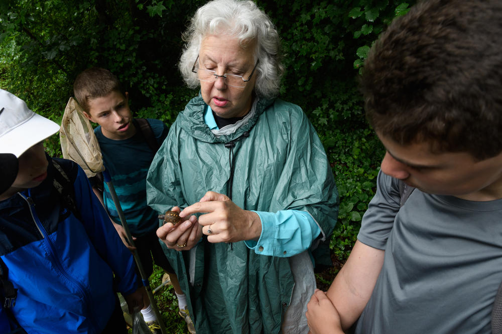 Ann Berry Somers, shown here at a research camp in 2018, helped start what could end up being the biggest, longest study of box turtles ever.
