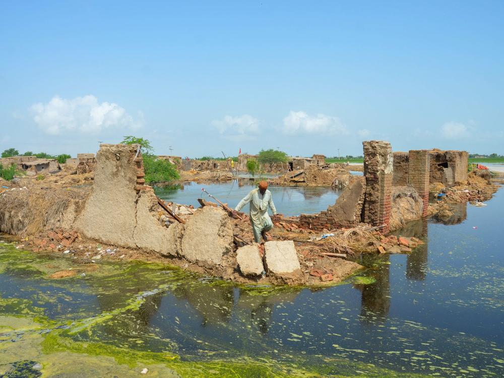 A man walks over his collapsed mud house after heavy monsoon rains in Jaffarabad district, Balochistan province, on Aug. 28.