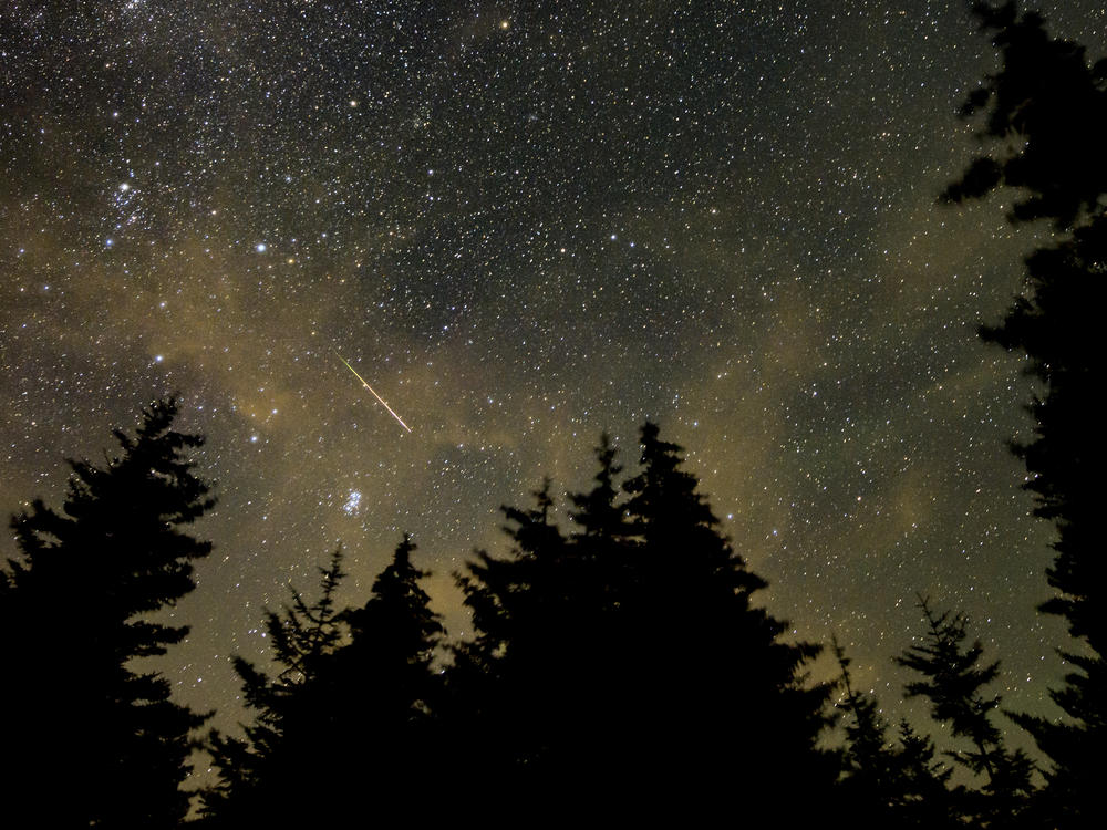 A meteor streaks across the sky during the annual Perseid meteor shower in August 2021 at Spruce Knob, in West Virginia. A Harvard astronomer thinks a meteor on the floor of the South Pacific Ocean could be a technological object created by aliens.