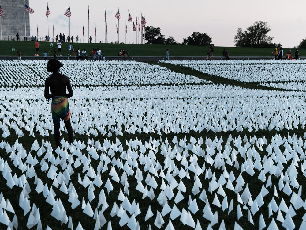 <em></em>Flags at the Washington Monument commemorate Americans who died from  COVID-19. In 2021, life expectancy in the U.S. fell for the second year in a row.