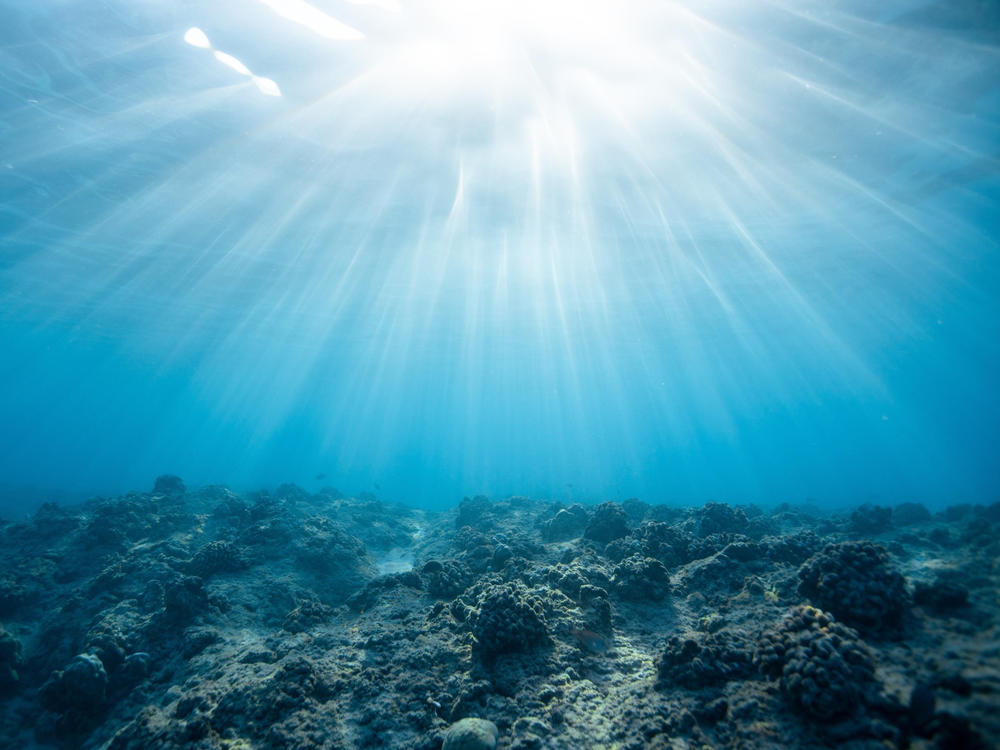 Could the ocean contain alien technology? Astronomer Avi Loeb thinks there is a chance.