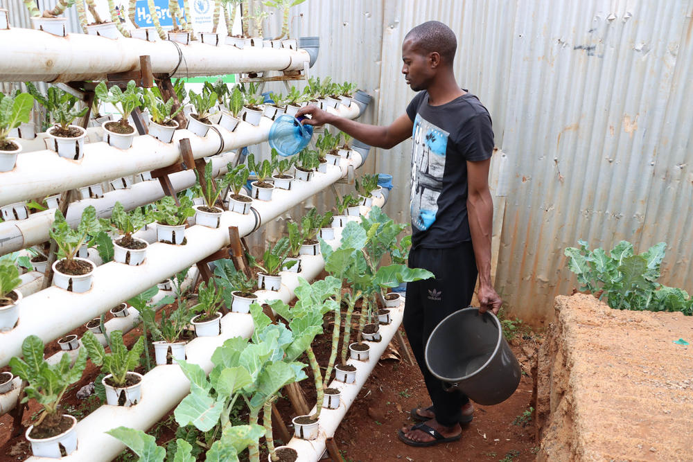 Kevin Abuya checks out the greens at the urban farm the helps feed the needy.