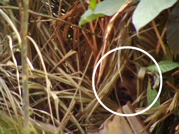 A portion of the man's face is visible in a still from the 2009 film <em>Corumbiara</em> by Vincent Carelli.