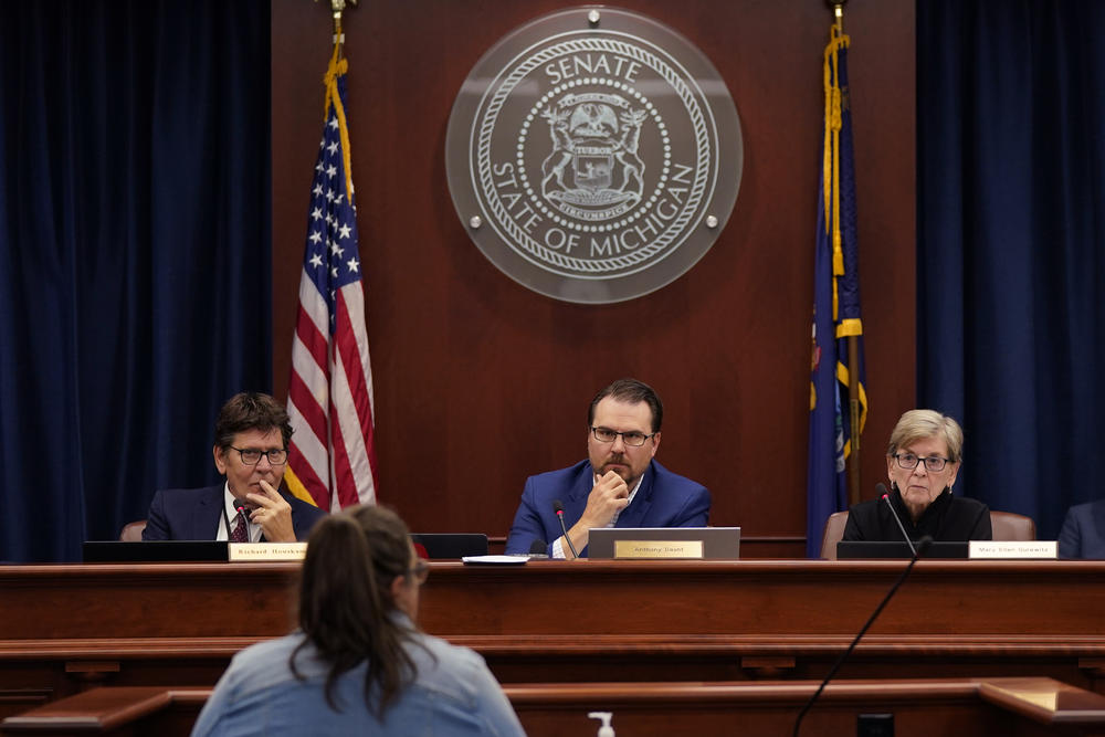 Richard Houskamp, left, Anthony Daunt and Mary Ellen Gurewitz, members of the Michigan state Board of Canvassers, listen to a speaker during a hearing.