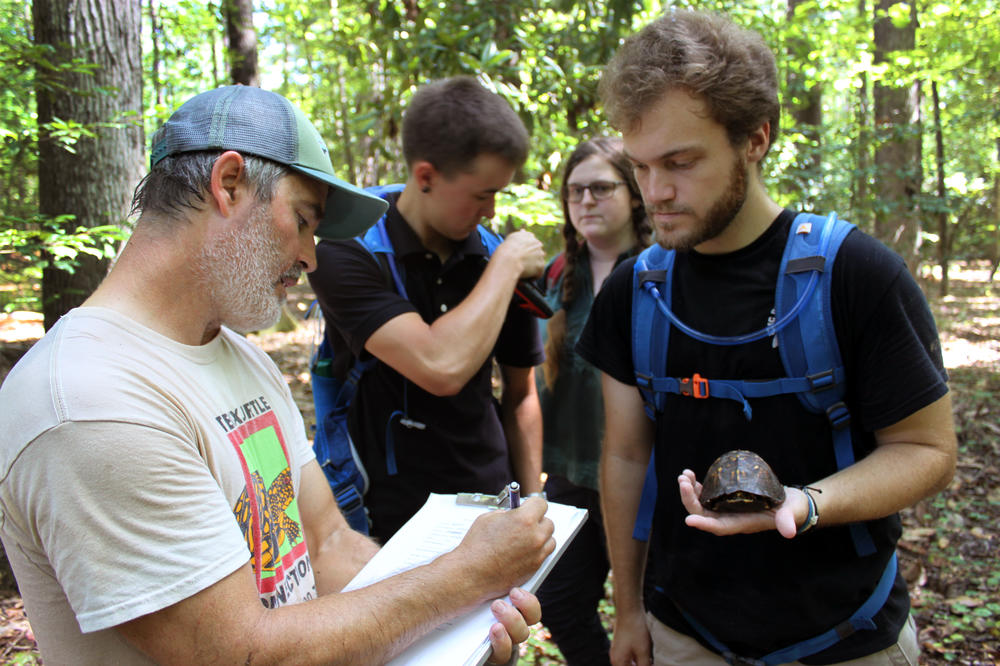 John Roe (left), a biologist at the University of North Carolina, Pembroke, works with students to track and log box turtles.