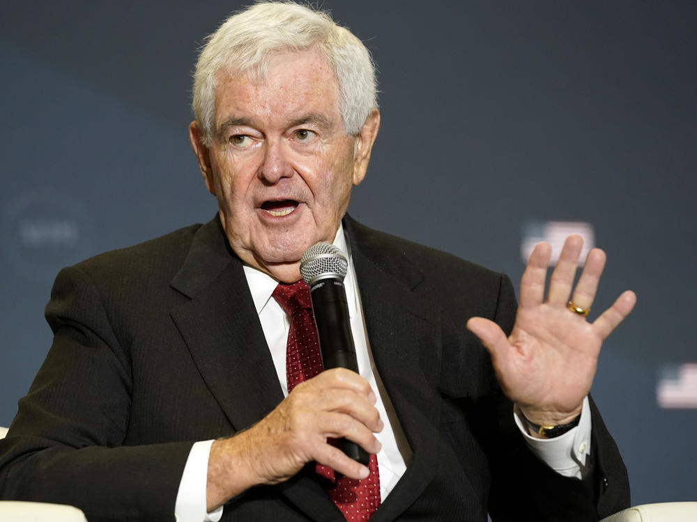 Former House Speaker Newt Gingrich speaks before former President Donald Trump at an America First Policy Institute agenda summit at the Marriott Marquis in Washington, D.C., on July 26.