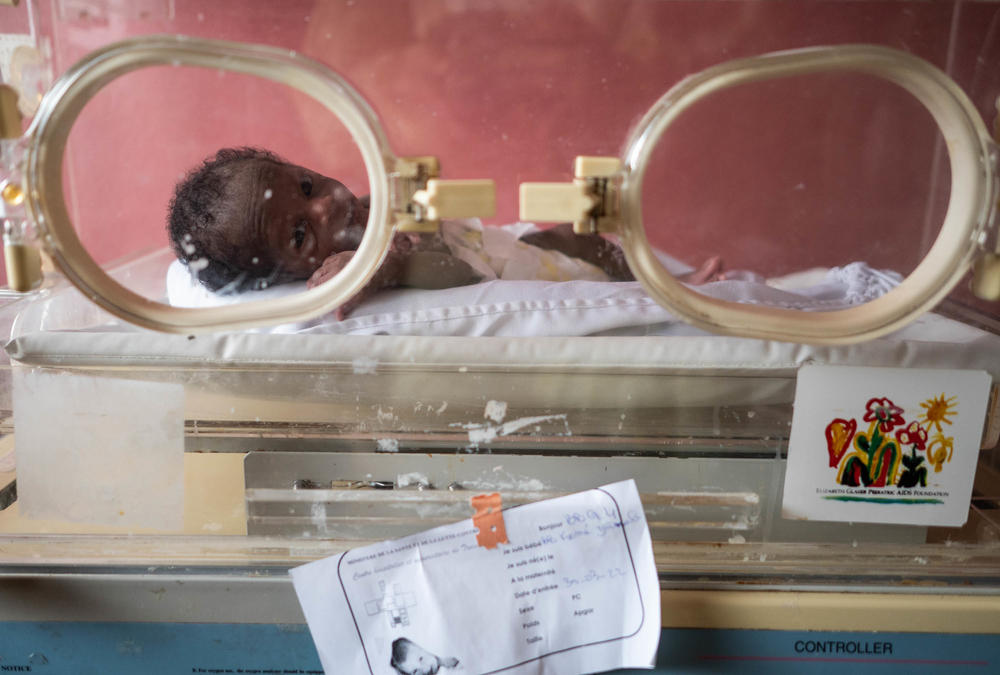 One of the quadruplets born to Kunoe Zamia, a son, rests in an incubator while his mom takes a class on kangaroo care.
