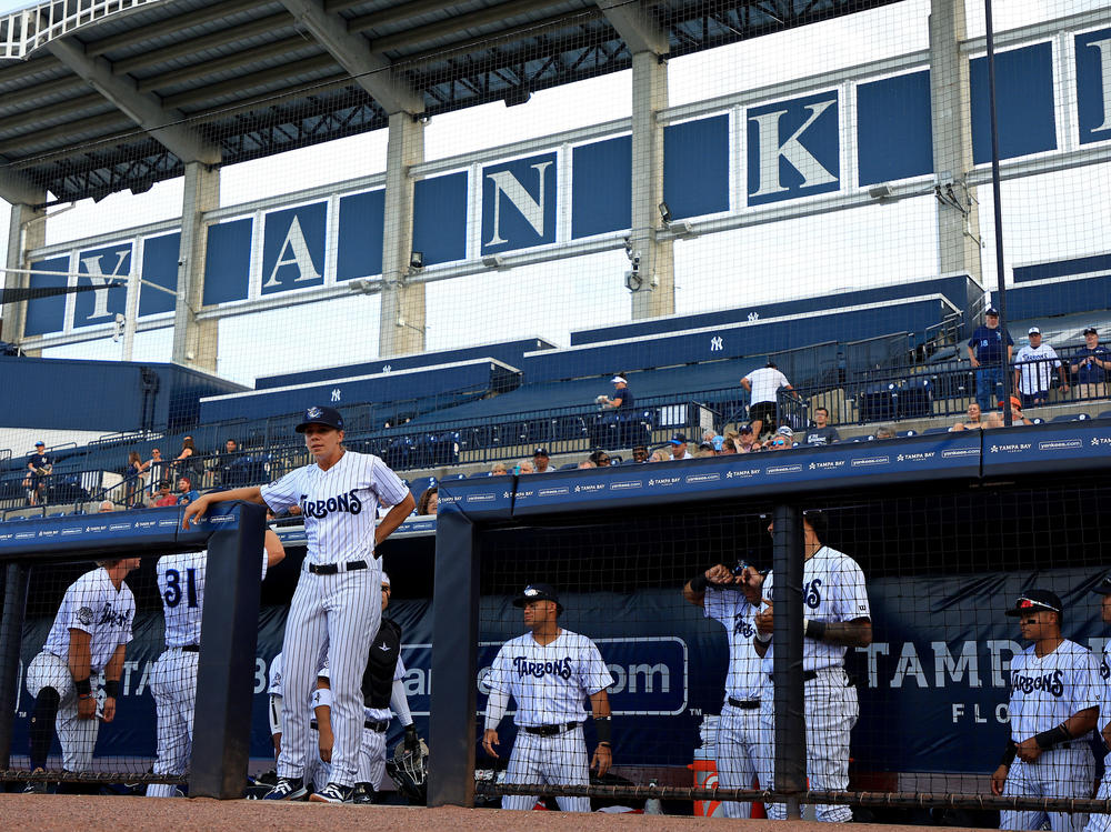 A minor league baseball game between the Tampa Tarpons and Dunedin Blue Jays in April. A 