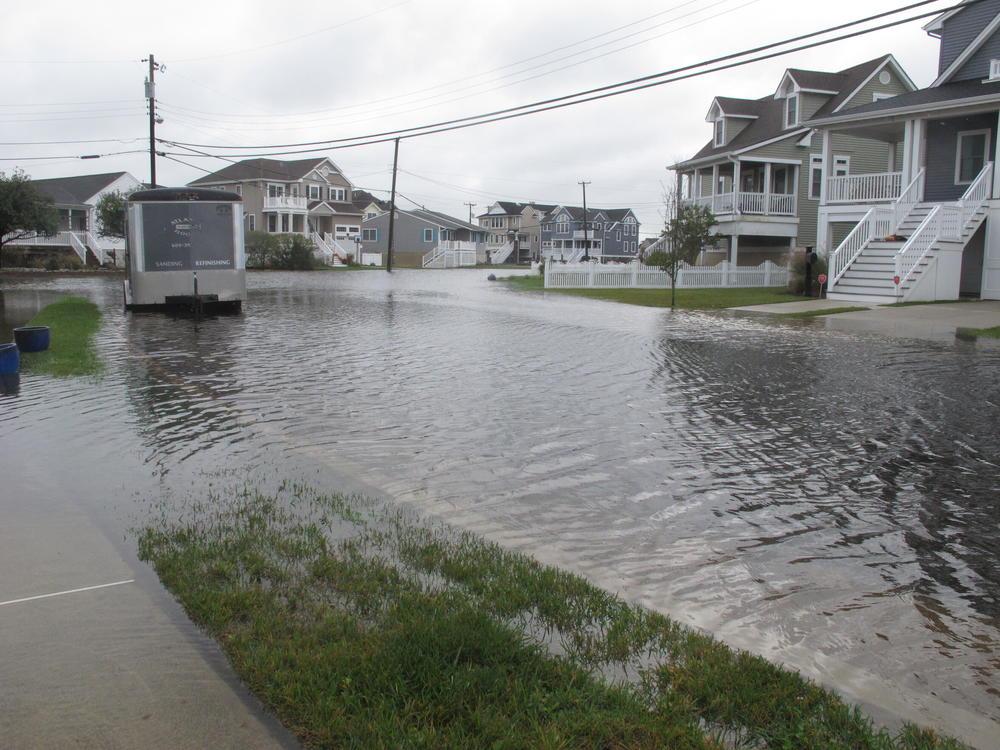 Flooding in Ocean City, N.J. in October 2020. Thousands of coastal cities around the world are already dealing with rising sea levels, and face catastrophic sea level rise if global warming triggers runaway ice melt.