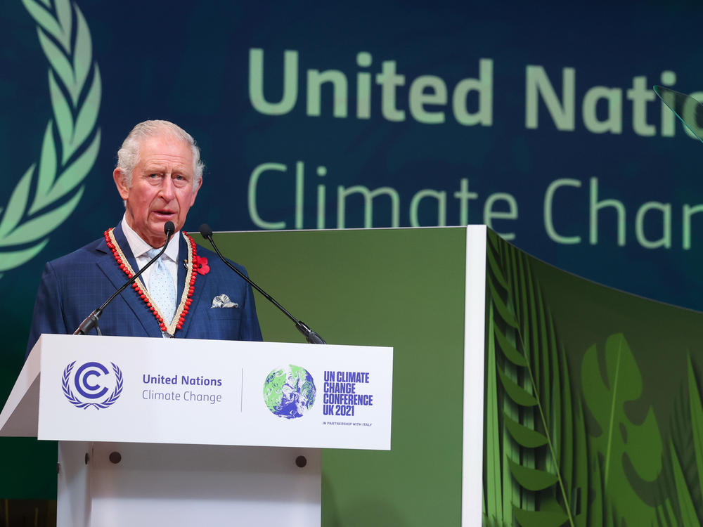 Prince Charles speaks at an event during the COP26 climate conference in Glasgow, Scotland last year. 