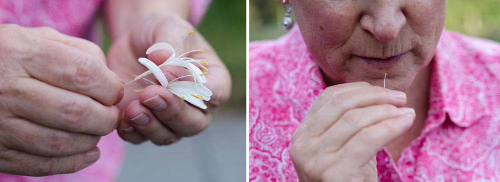 Ward says she and her sisters enjoyed picking honeysuckles on their walks home from school when they were kids.