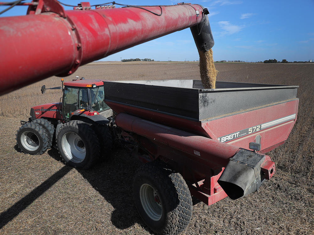 Soybeans pour from a combine during harvest in a field in Rippey, Iowa, in 2019.