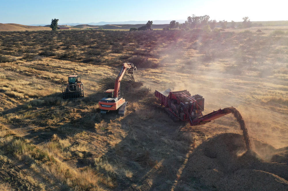 In response to severe drought, which is being fueled in part by human-caused climate change, some farmers in California are ripping out orchards of almond trees and replacing them with less water-dependent crops.