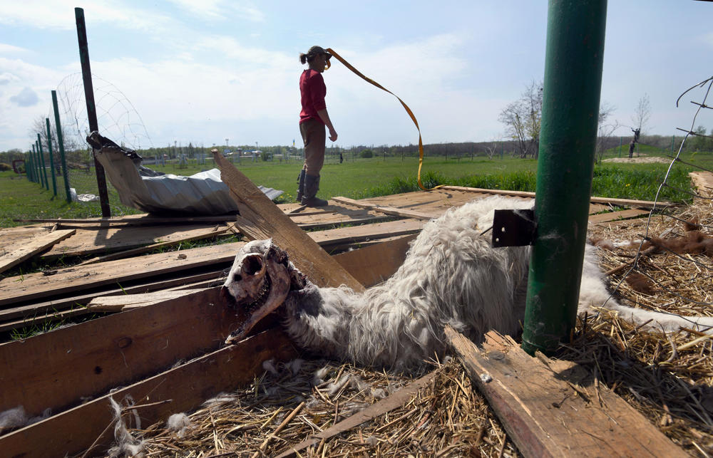 Rescue efforts to save surviving animals continues, among the bodies of dead animals, at Feldman Ecopark on May 4.